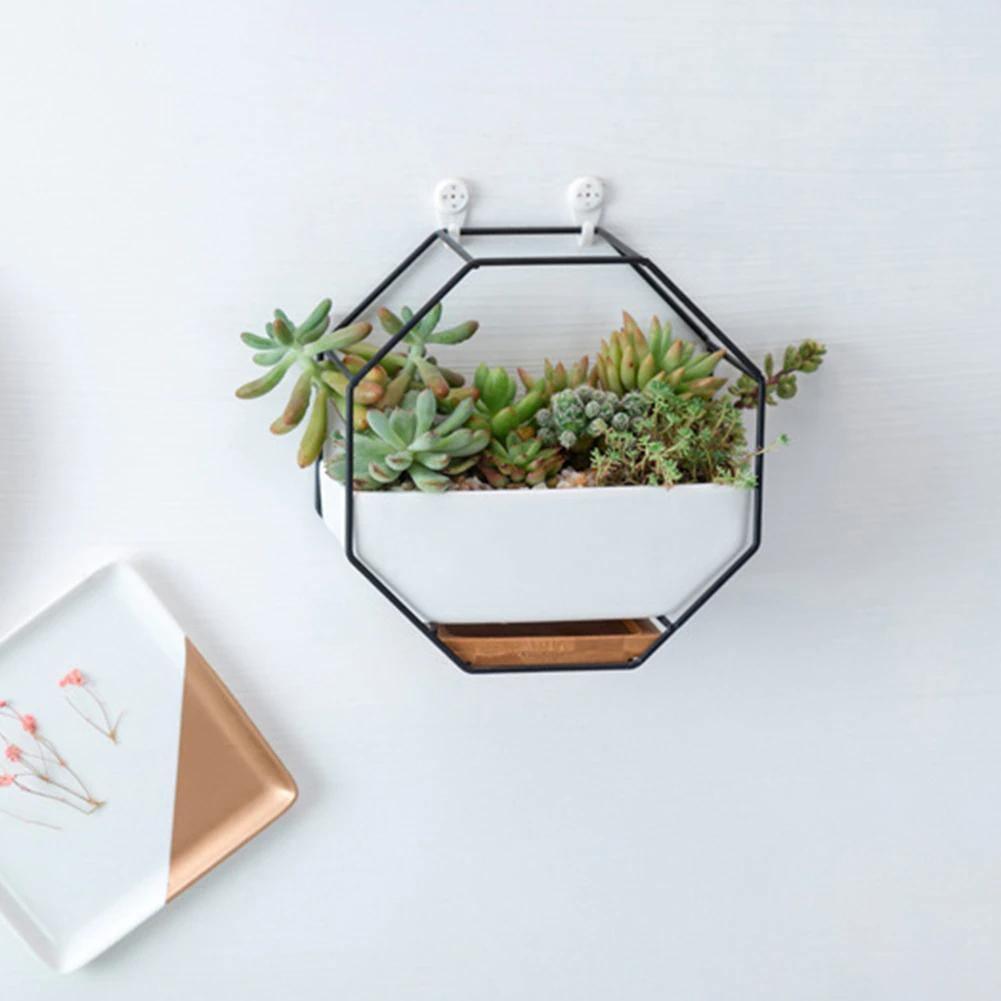 Hexagon Wall Hanging Planter Set