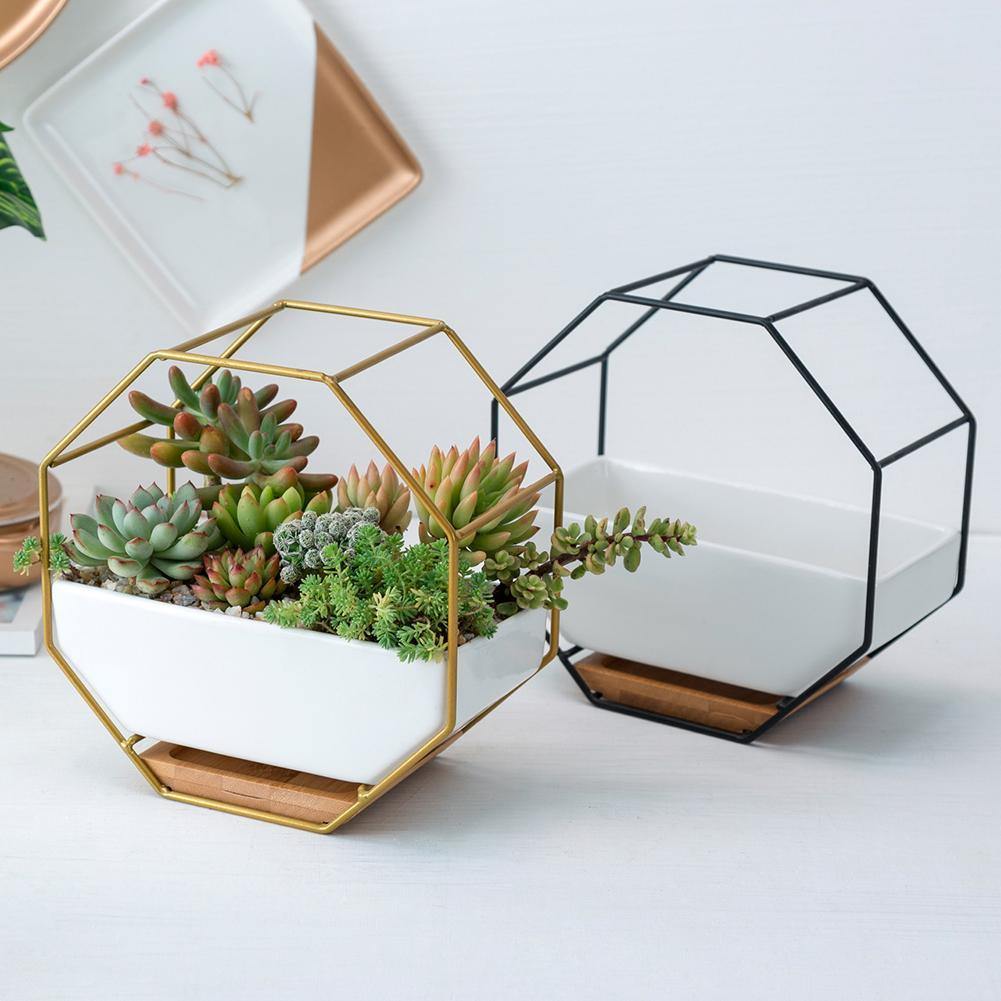 Hexagon Wall Hanging Planter Set