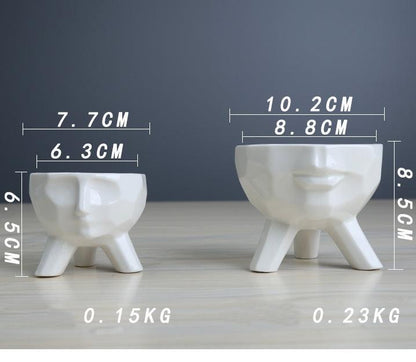 2-Piece White Face Succulent Planter Set