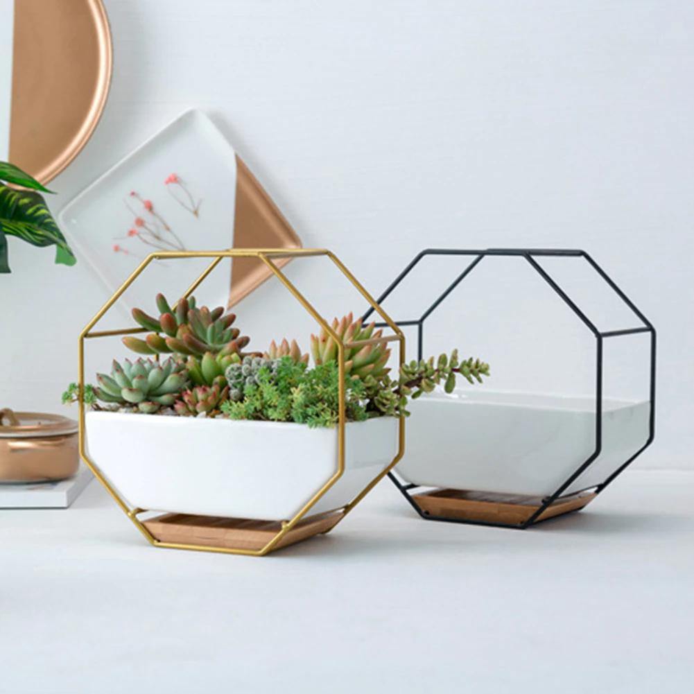 Hexagon Wall Hanging Planter Set