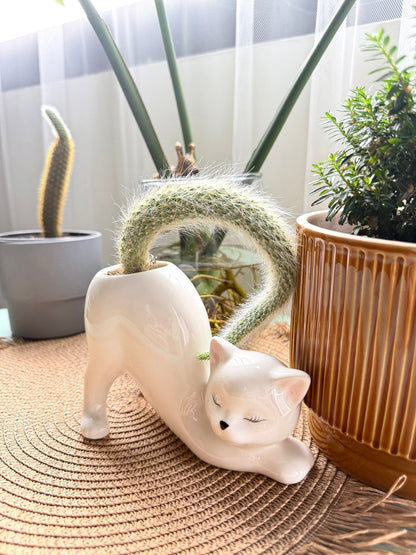 Cat Shape Ceramic Planter Pot