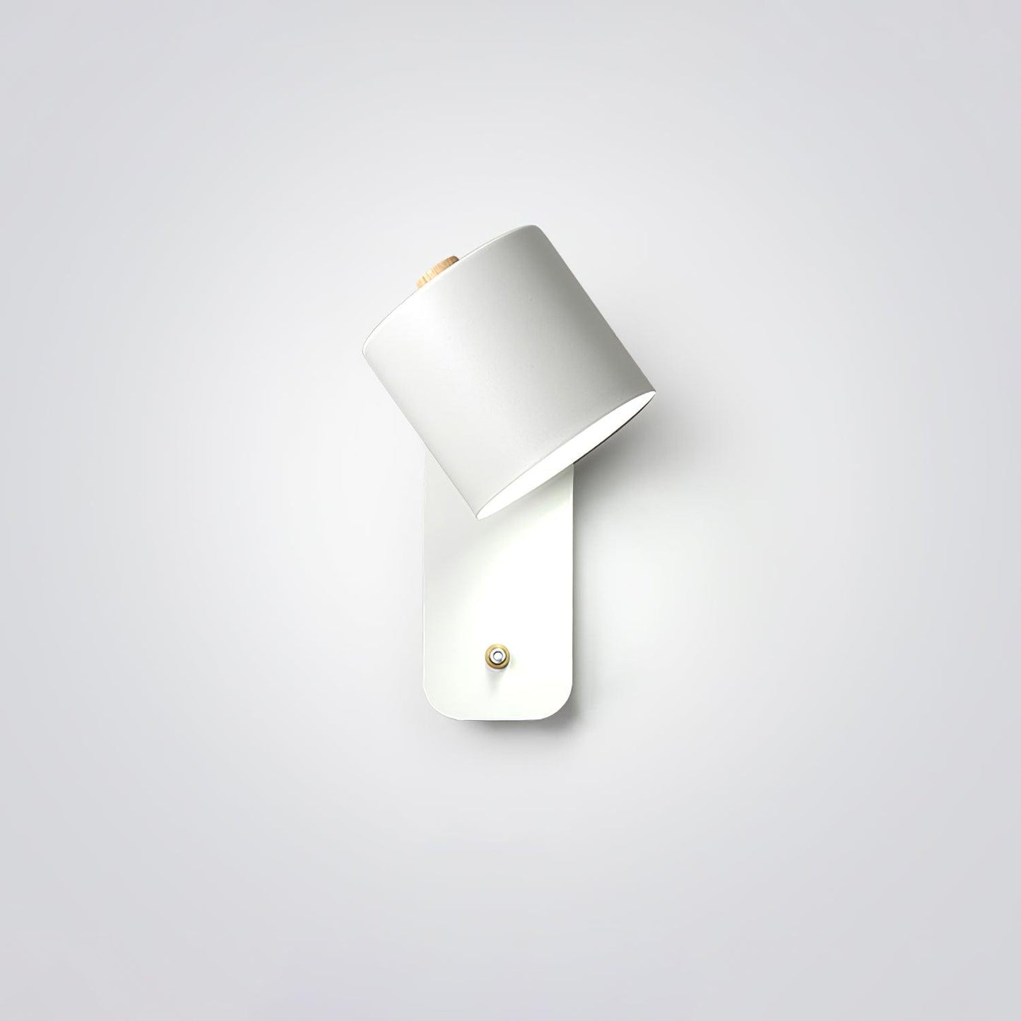 Adjustable Cylinder Wall Light
