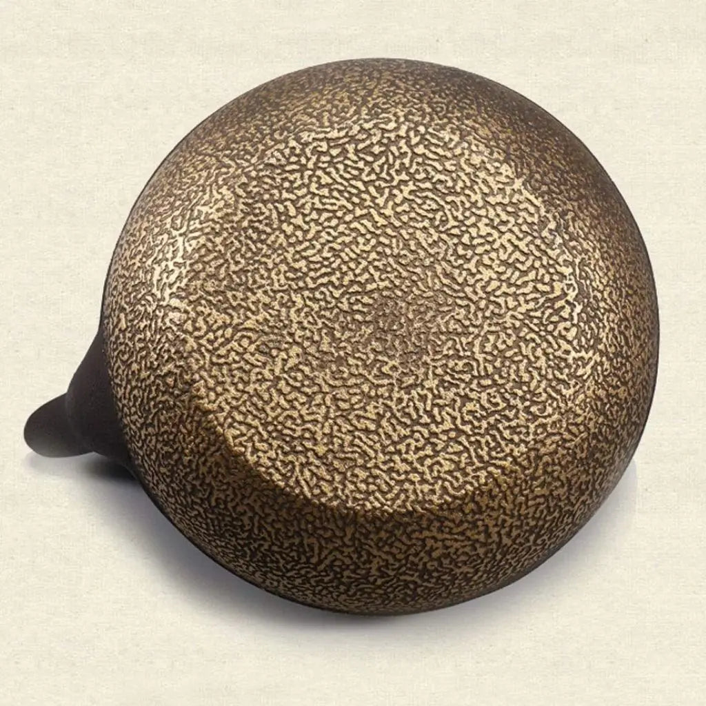 Japanese Cast Iron Teapot Tea Kettle