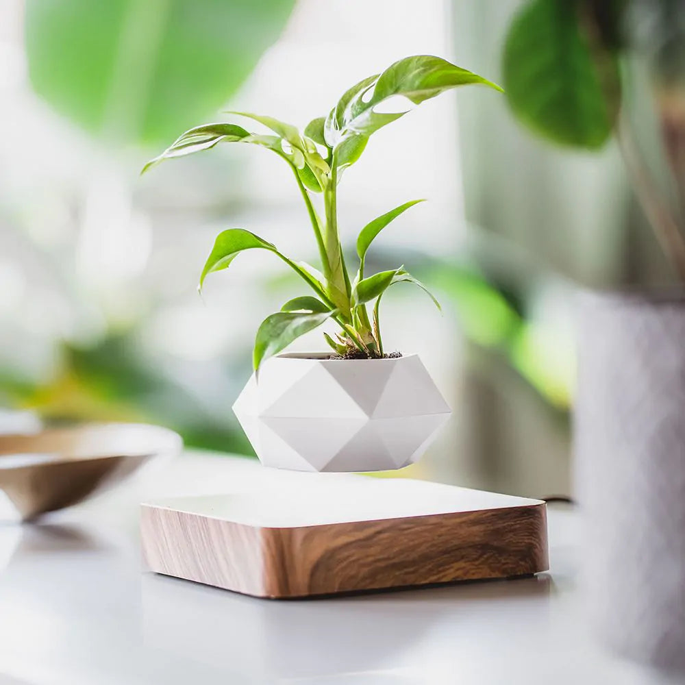 Levitating Magnetic Plant Pot