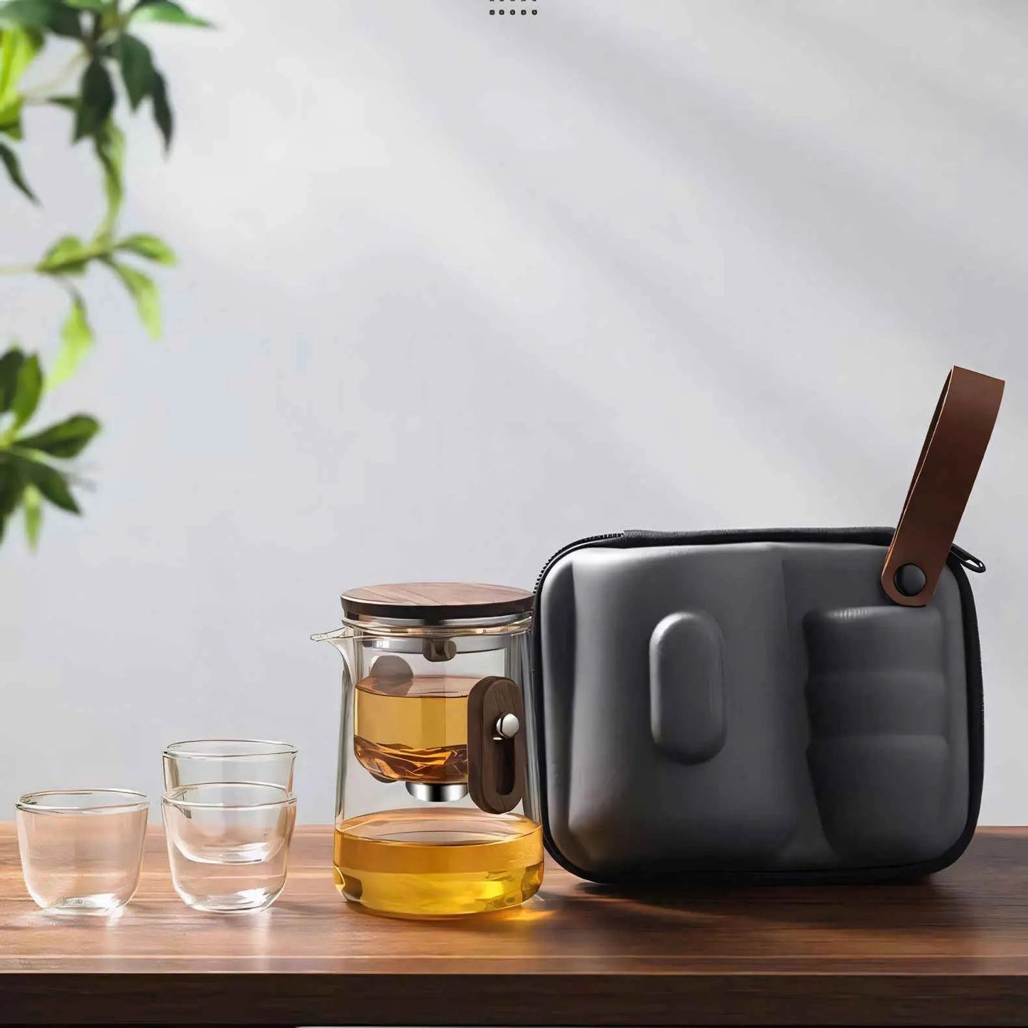 Travel Glass Tea Brewing Set