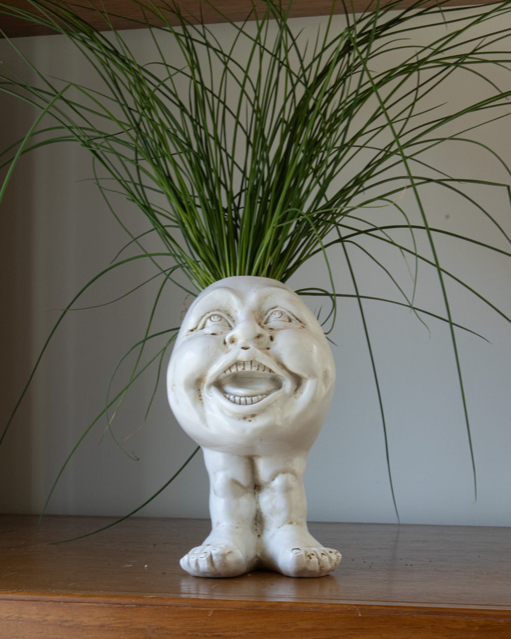 Face Head Planter Set
