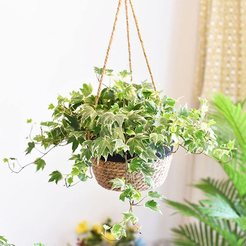 Woven Hanging Planter Basket